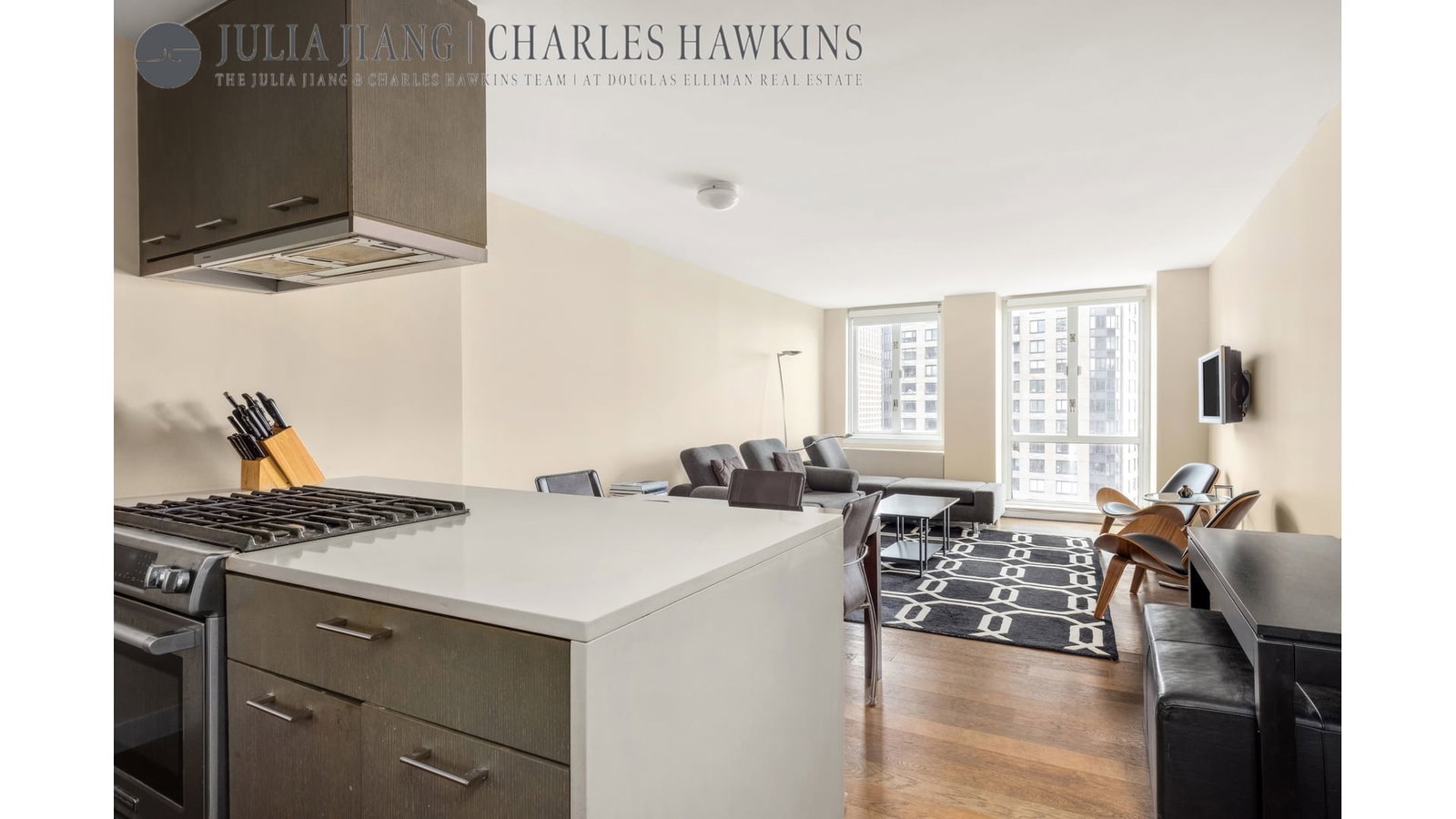 Real estate property located at 225 RECTOR #22E, New York, Battery Park City, New York City, NY, US