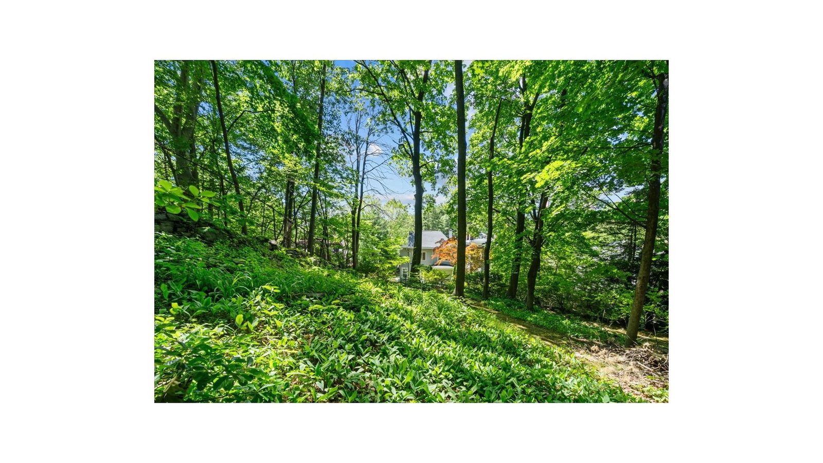 Real estate property located at 5600 MOSHOLU, Bronx, North Riverdale, New York City, NY, US