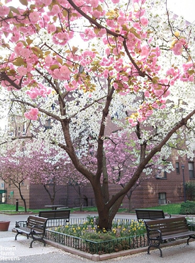 Real estate property located at 78-11 35TH #1G, Queens, Jackson Heights, New York City, NY, US