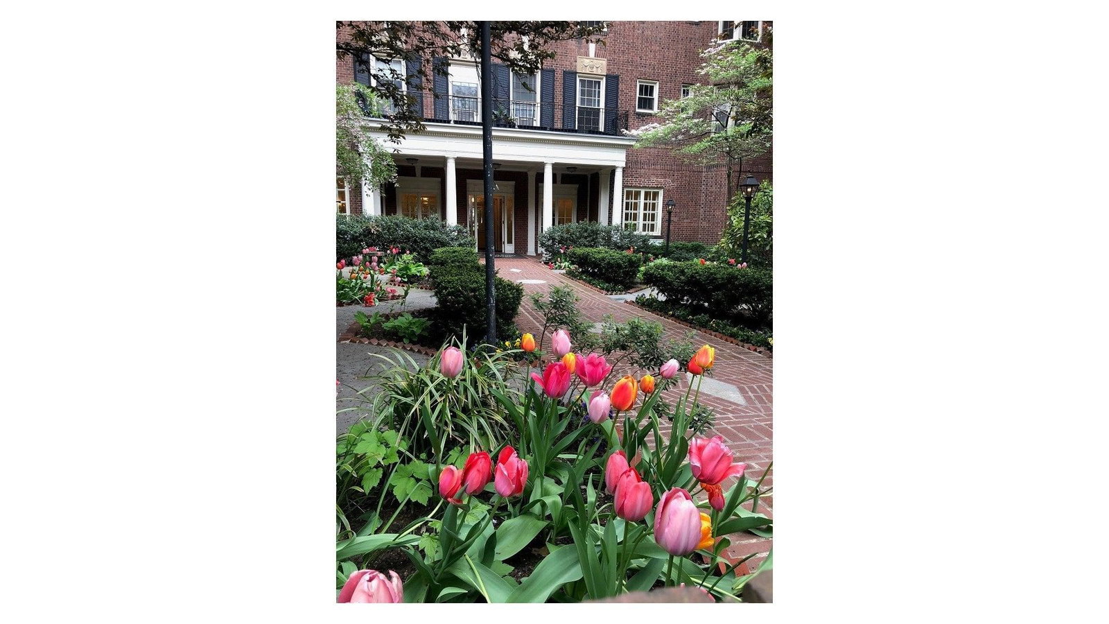 Real estate property located at 145 HICKS A68/B68, Kings, Brooklyn Heights, New York City, NY, US