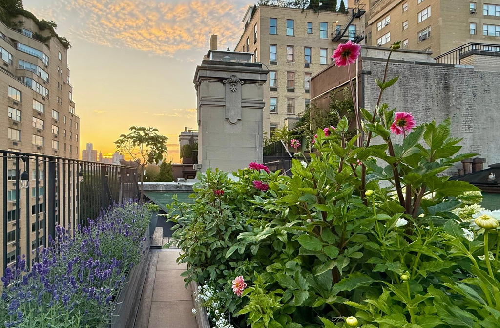 Real estate property located at 5 75TH #8, New York, Lenox Hill, New York City, NY, US